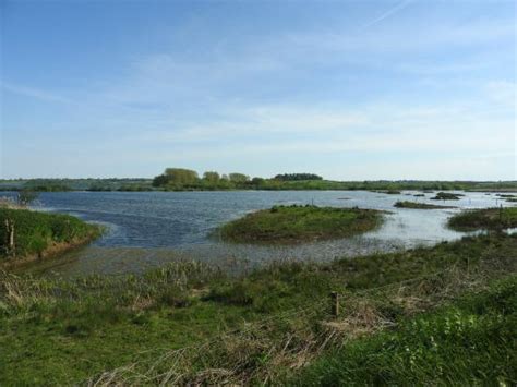 Rutland Water Nature Reserve (Anglian Water Bird Watching Centre) (Oakham) - ATUALIZADO 2021 O ...