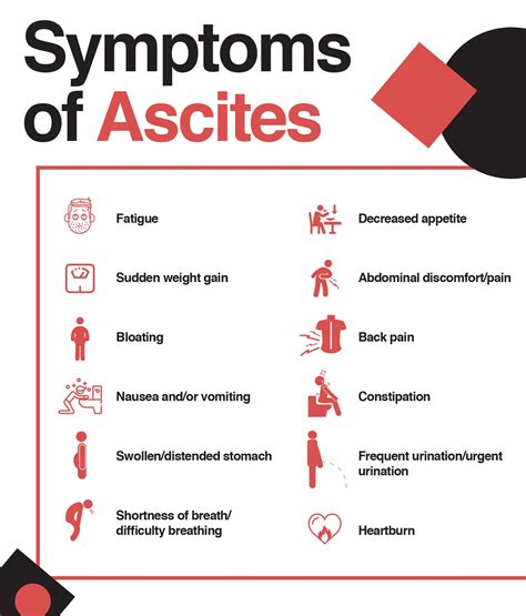 Ascites: Symptoms, Causes and Treatment for Fluid in the Abdomen – The Amino Company