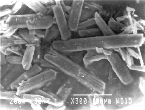 SEM micrograph of crystalline structure of purified phosphogypsum ( × ...