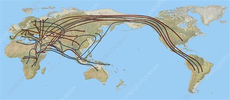 Genetic World Map