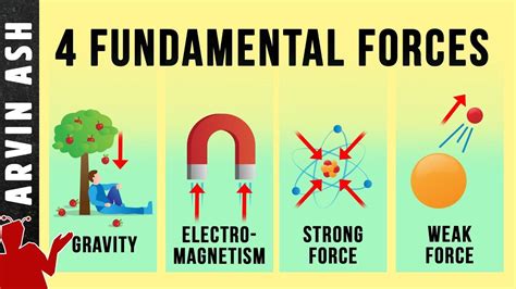 The Four Fundamental Forces of nature - Origin & Function | Force physics, Force, Fundamental