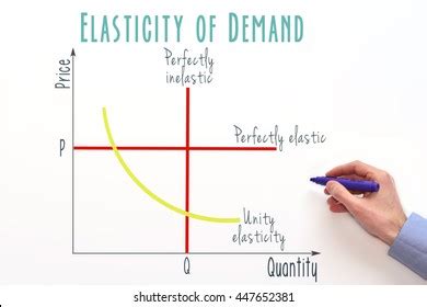 Law Of Demand And Elasticity Of Demand: Types of Demand Elasticity