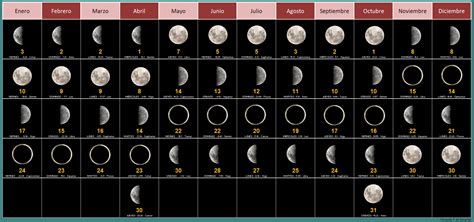 Guía de embarazo: Calendario Lunar 2020 - Tips de Madre