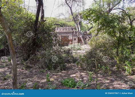 Ruins Of Mosque On Kilwa Kisiwani Island, Tanzania Stock Photo ...