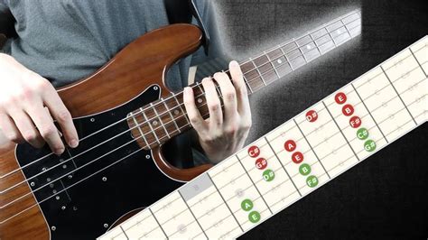 C Major Scale Bass All Positions - The 7 Position System Explained! | Major scale, C major, Bass