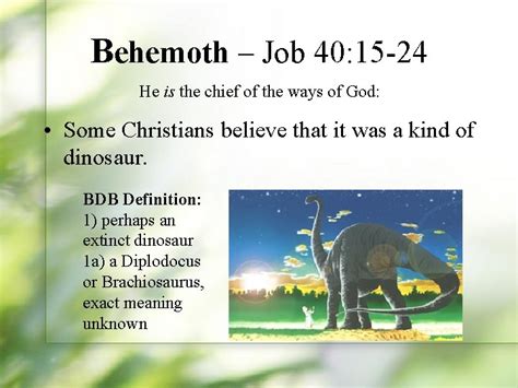 Mysterious Creatures Of The Bible Behemoth Job 40