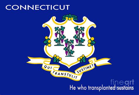 State Flag of Connecticut With Motto Digital Art by Bigalbaloo Stock - Fine Art America