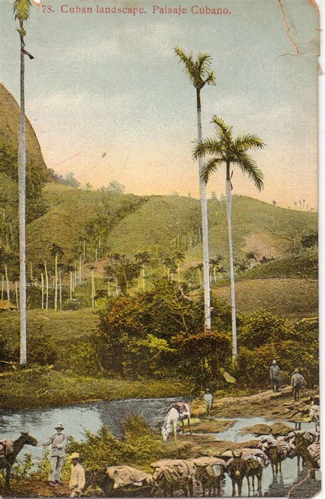 Cuban landscape. | Landscape, Painting, Postcard