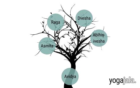 Understanding The 5 Kleshas May Unlock The Key To Your Suffering