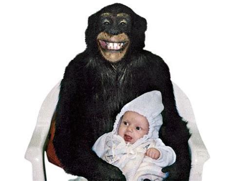 Travis the chimp holding a baby : r/NopeMovie