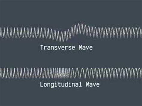 Transverse and Longitudinal Waves - YouTube