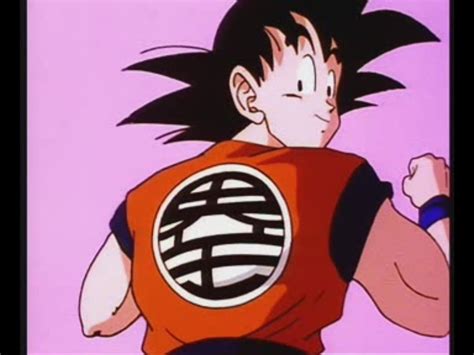 User blog:Bardock101/bardock and goku | Dragon Ball Wiki | FANDOM ...