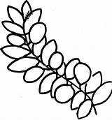 Tree Branch Coloring Page Easy Drawing Guides  Vrogueco sketch template