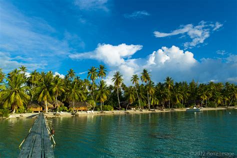 Tuamotu Islands - French Polynesia - Around Guides