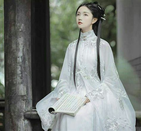 Traditional Chinese Clothing Female Ming Dynasty Hanfu Dress - Etsy