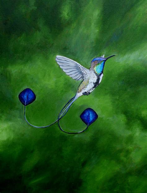 Marvelous Spatuletail Hummingbird by PaintedKelpie on DeviantArt