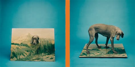 Renowned Artist William Wegman Exhibits Iconic and New Work at Vermont ...