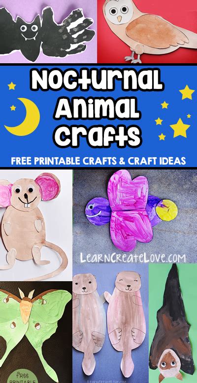 Nocturnal Animals Craft Round-Up