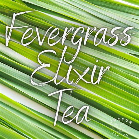 Fevergrass Elixir Tea