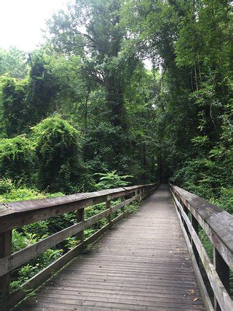 Cape Fear River Trail (Fayetteville) - 2018 All You Need to Know Before You Go (with Photos ...