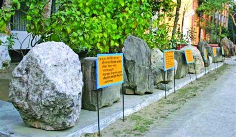 Rocks Museum in Panchagarh | The Asian Age Online, Bangladesh