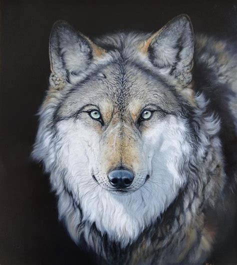 Awesome | Animals | Wolf, Wolf pictures, Beautiful wolves