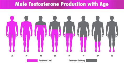 How And Why Does Testosterone Deficiency Affect Older Men? - Fitneass