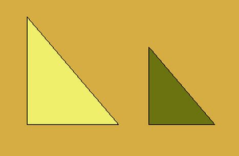 Similar Shapes - Alliy's Geometric Transformations