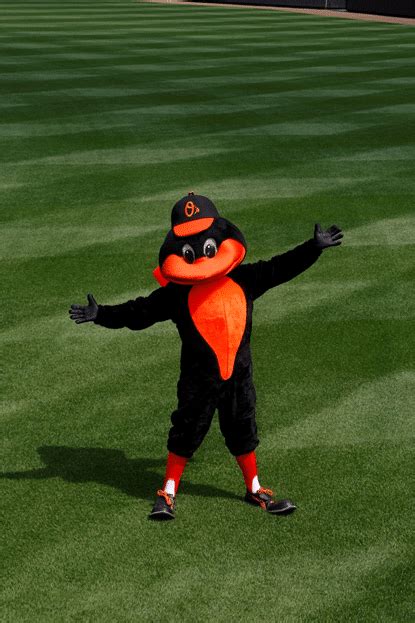 Oriole Bird (Baltimore Orioles) | Mascot Hall of Fame