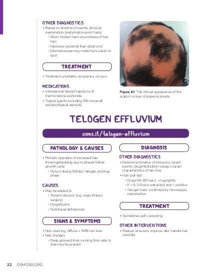 Telogen effluvium: Video, Causes, & Meaning | Osmosis