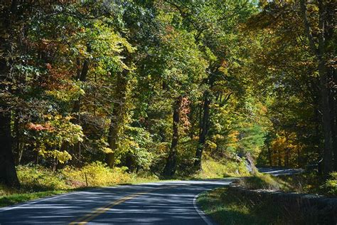 Fall Color on Skyline Drive | Trails & Travel