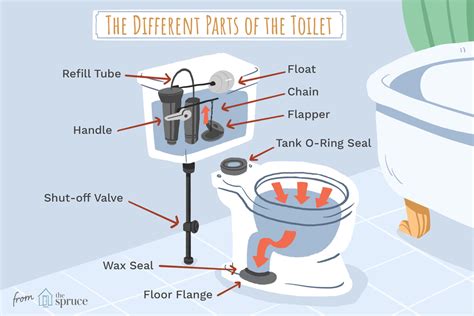 Understanding the Parts of a Toilet