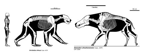 Daeodon Vs Arctodus - Toho Kingdom