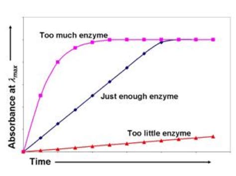 Working with Enzymes: Part I -The Simple Kinetic Spectrophotometric Assay - Bitesize Bio