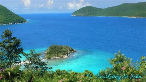 Best St John Snorkeling Spots - On-Island Times US Virgin Islands