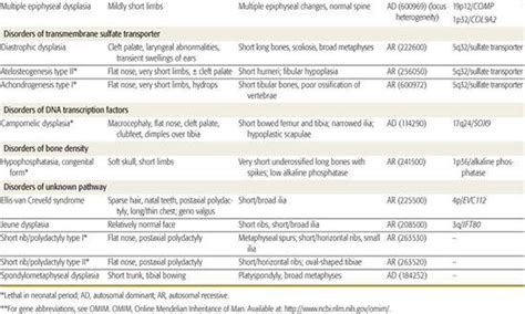 . Genetic Skeletal Disorders | Obgyn Key