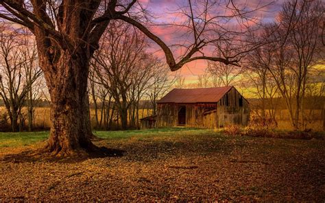 Download Sunset Field Tree Man Made Barn HD Wallpaper