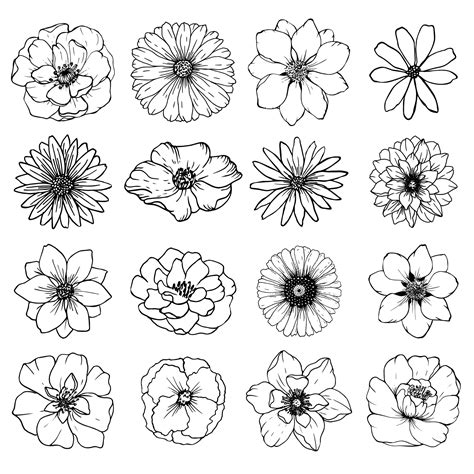 Big collection sketch different flowers. 3599355 Vector Art at Vecteezy