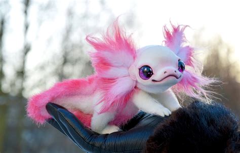 Axolotl | Cute creatures, Cute fantasy creatures, Cute animals