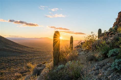 Tucson Bike Trails - The Local's Guide - Coleman Concierge