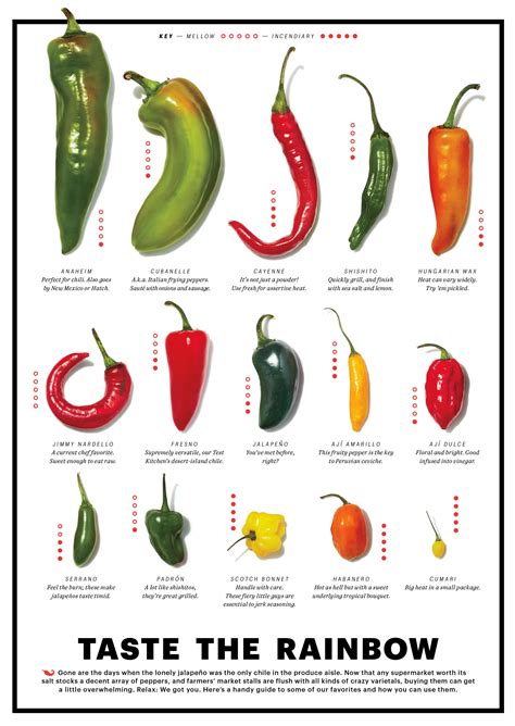 Names Of Italian Peppers