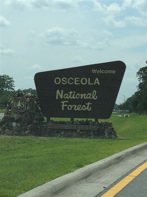 Road Trip 2012: Osceola National Forest