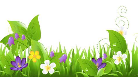 Spring Floral Powerpoint Templates - Border & Frames, Flowers, Green Backgrounds