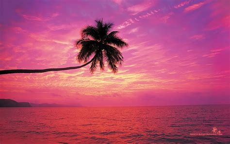 Colorful Sunsets Wallpapers ·① WallpaperTag