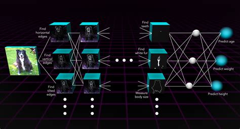 Neural networks meet space | symmetry magazine