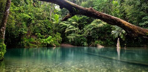 7 Day Cape York, Daintree & Cooktown - Inspiring Vacations