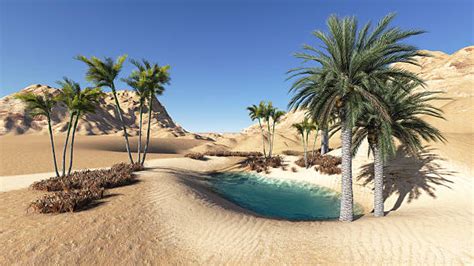 Desert Oasis Stock Photos, Pictures & Royalty-Free Images - iStock