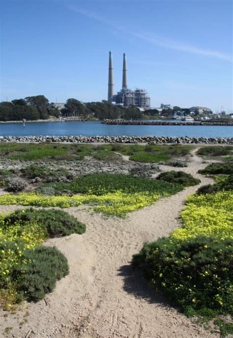 Moss Landing State Beach in Moss Landing, CA - California Beaches