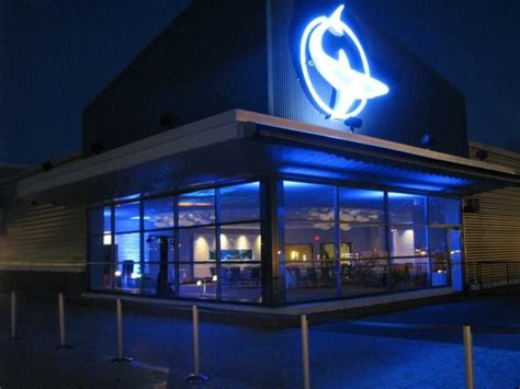 Newport Aquarium | Reception Venues | Newport aquarium, Aquarium, Newport