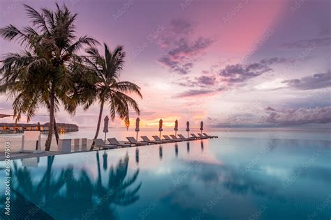 Idyllic sunset beach scene, infinity pool in luxury resort, tropical ...